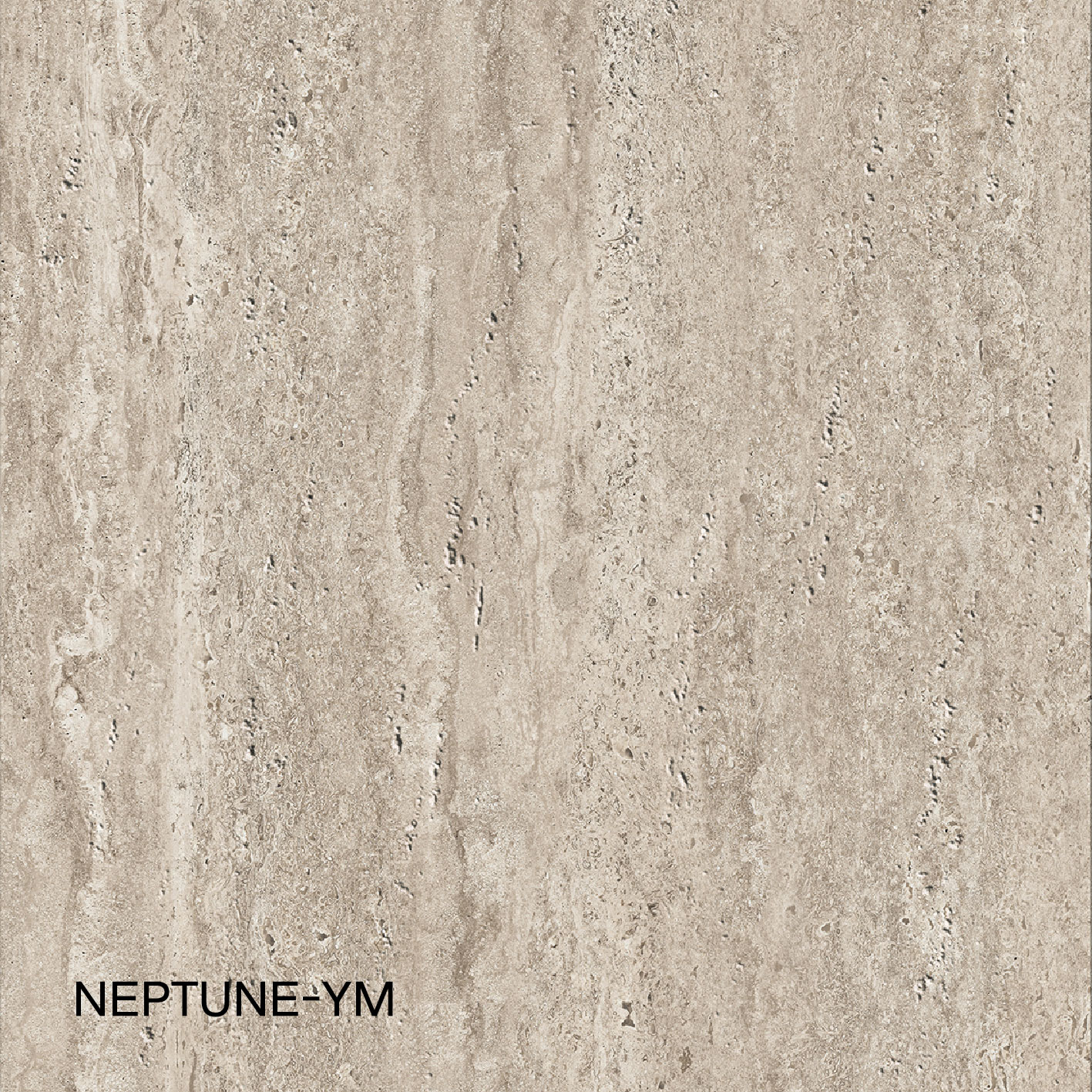 NEPTUNE-YM 6120